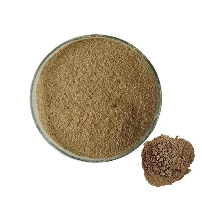 Bacillus subtilis Bacillus subtilis